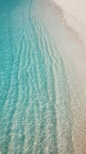 ibrahim-rifath-NJ7CaVfWYaw-unsplash